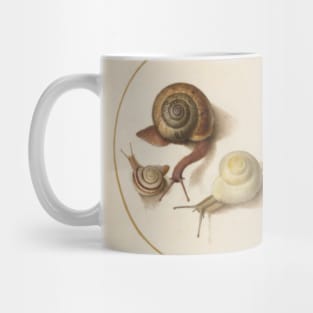 Naturalist Snails Mug